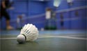 prestige tranquility badminton court