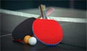 prestige tranquility table tennis