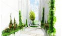 Vineyard Stepped-Plaza