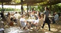 Vineyard Lifestyle Concepts