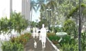 Vineyard Walkway 