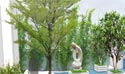 Vineyard Water-Parterre