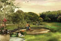 Raj-Greenbay-forest-walk